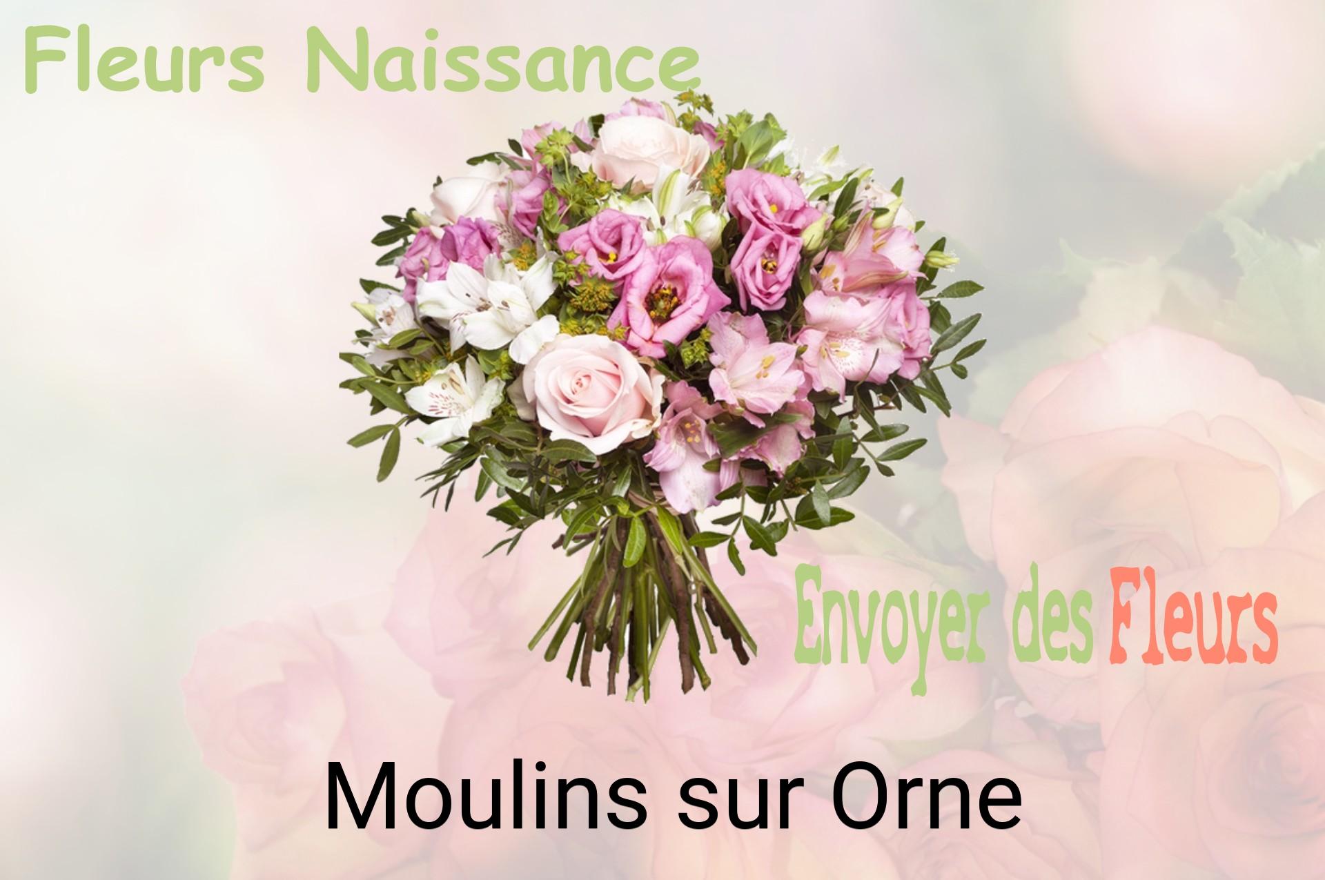Bouquet de fleurs de naissance livré à Moulins-sur-Orne